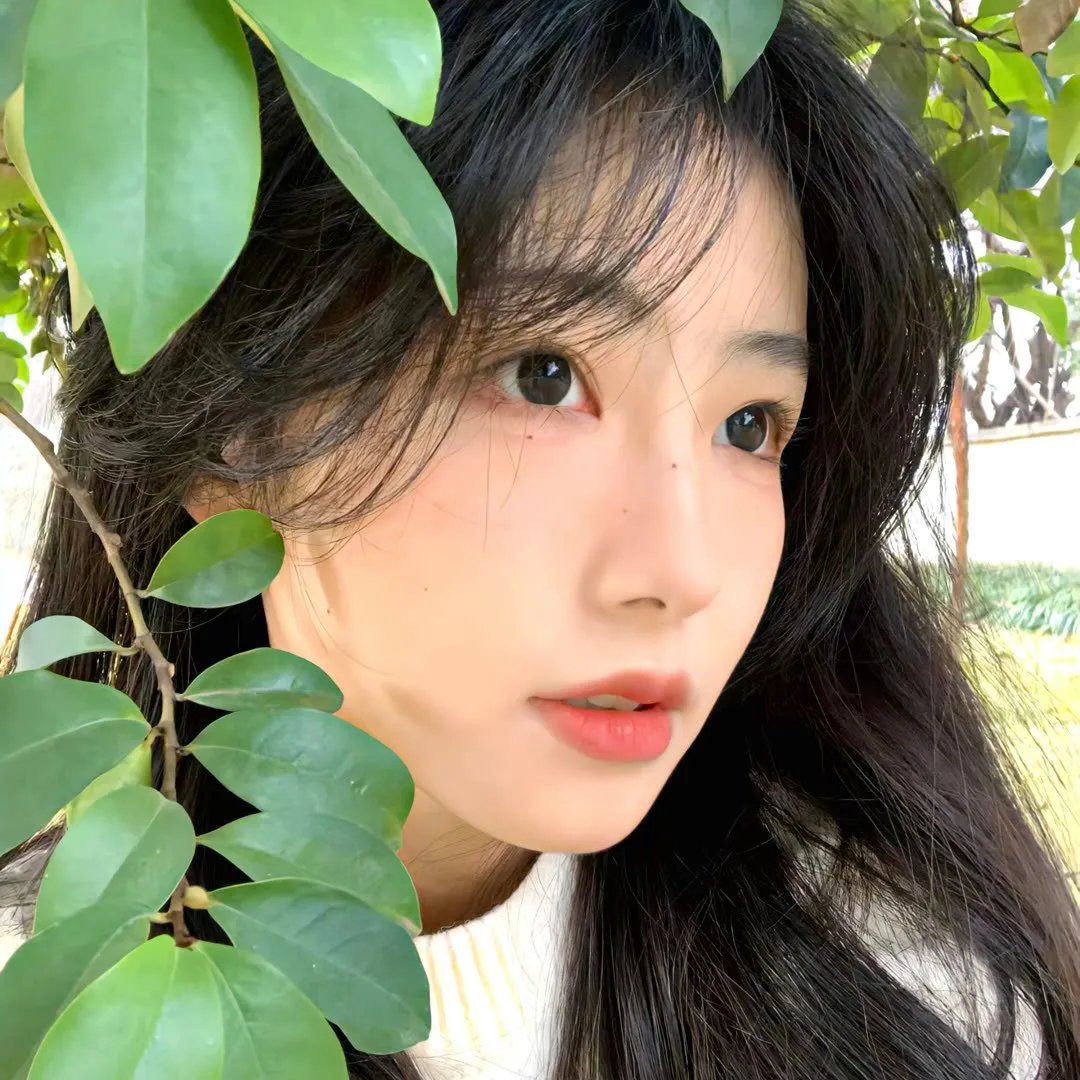灵镜传奇